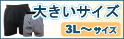 大きいサイズ