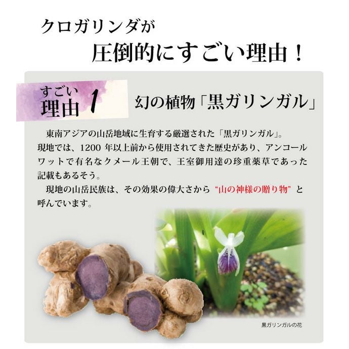 000000001886-04.jpg?size=l&w=