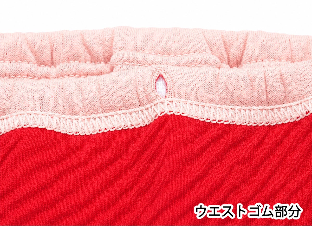 【Nojima】【赤の魔法(裏赤)】さわやか快適ショーツ【パッド部35cc】【LL】綿100%/日本製/尿漏れショーツ失禁女性用